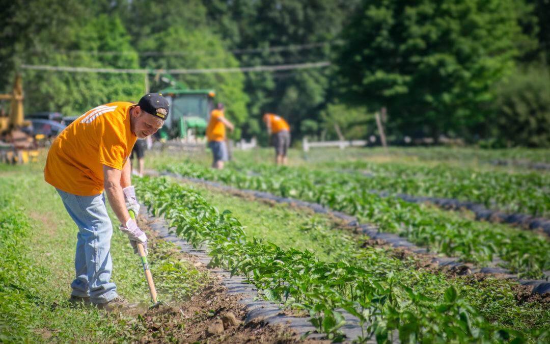 Access Gives Back on Volunteer Day