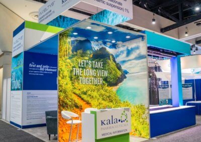 kala exhibit case study