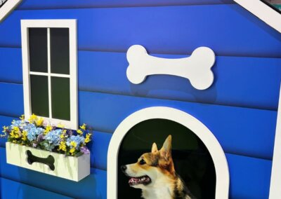nationwide case study gallery
