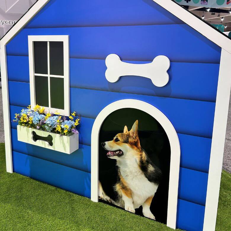 nationwide-case-study-highlight-lenticular nationwide lenticular dog