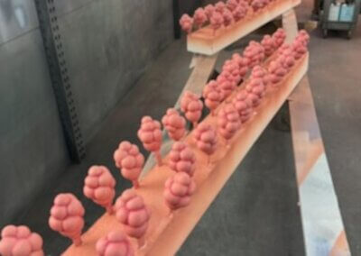 insmed 20x20 case study