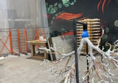 insmed 20x20 case study