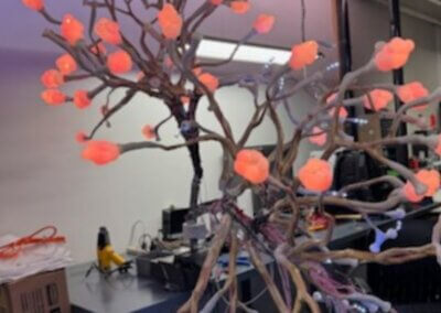 insmed 20x20 case study