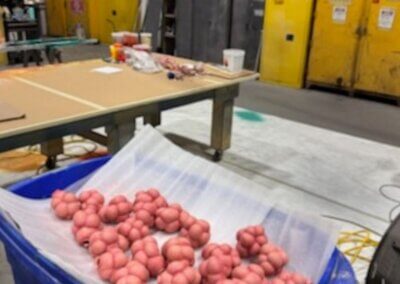 insmed 20x20 case study