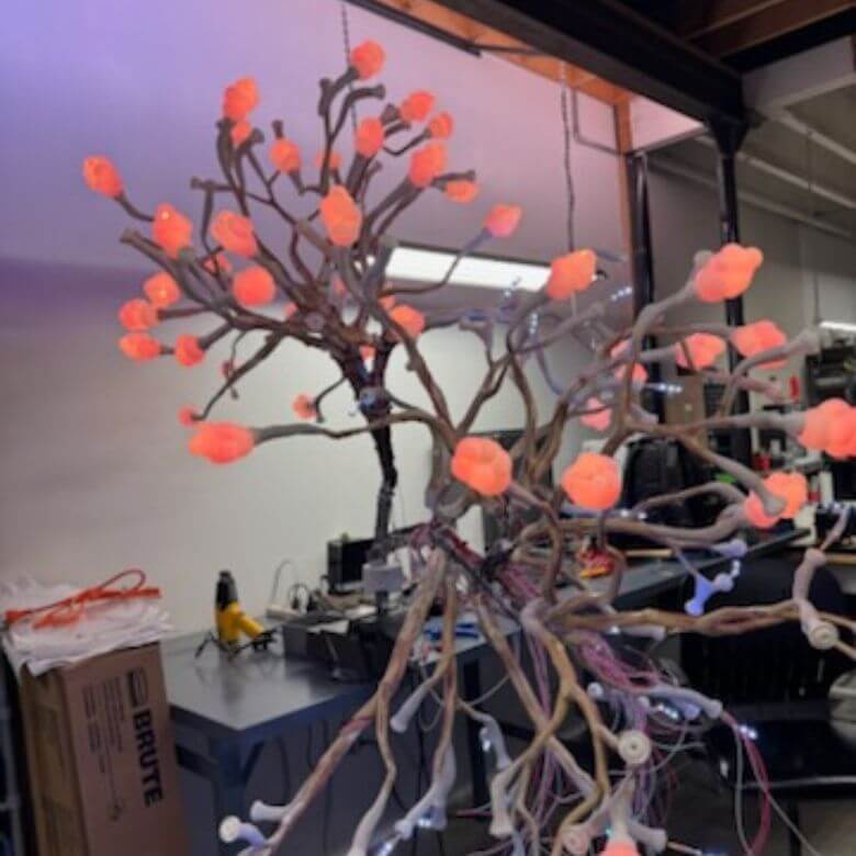 insmed-20x20-case-study-nodes akebia case study origami